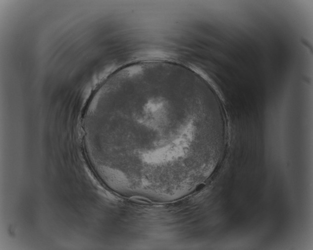 X0000100491477200807031904