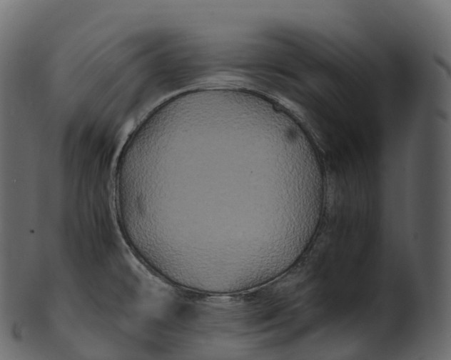 X0000100491478200807031904