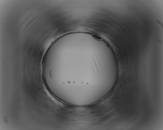 X0000100491479200807031904