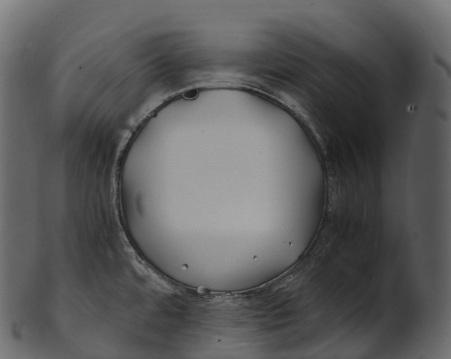 X0000100491480200807031904