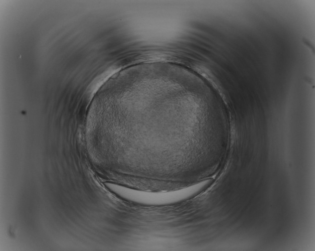 X0000100491481200807031904