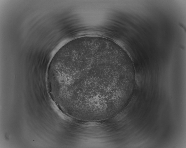 X0000100491482200807031904