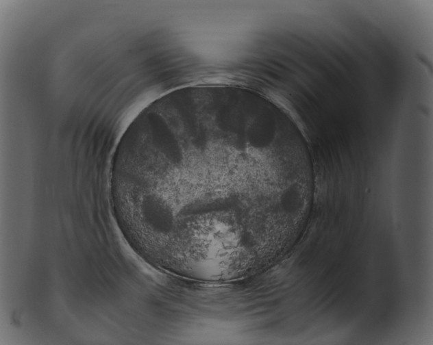 X0000100491483200807031904