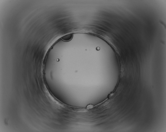 X0000100491484200807031904