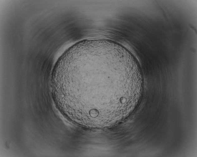 X0000100491485200807031904