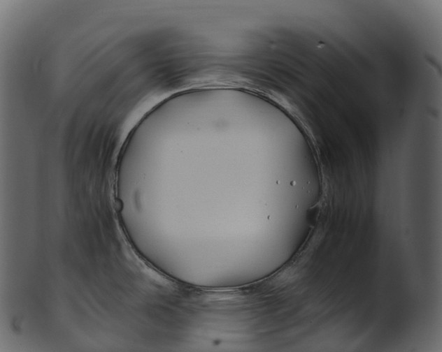 X0000100491486200807031904