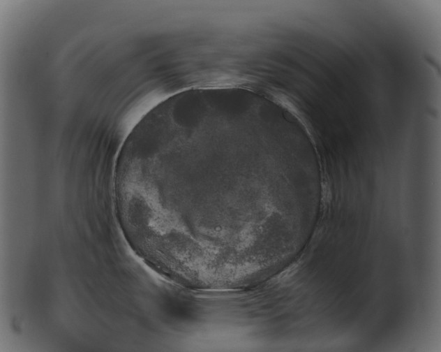 X0000100491487200807031904