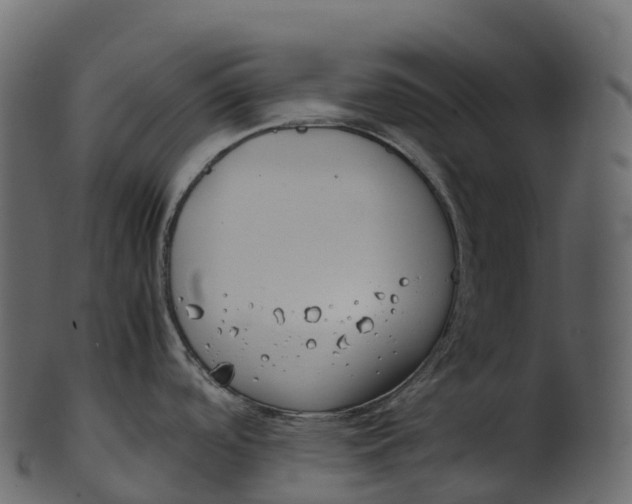 X0000100491488200807031904