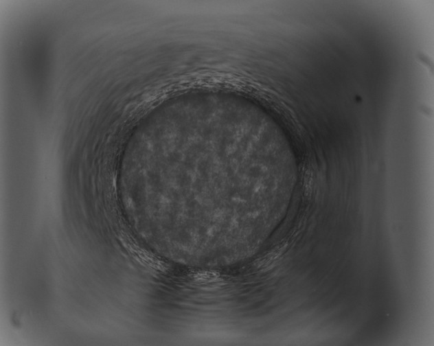 X0000100491489200807031903