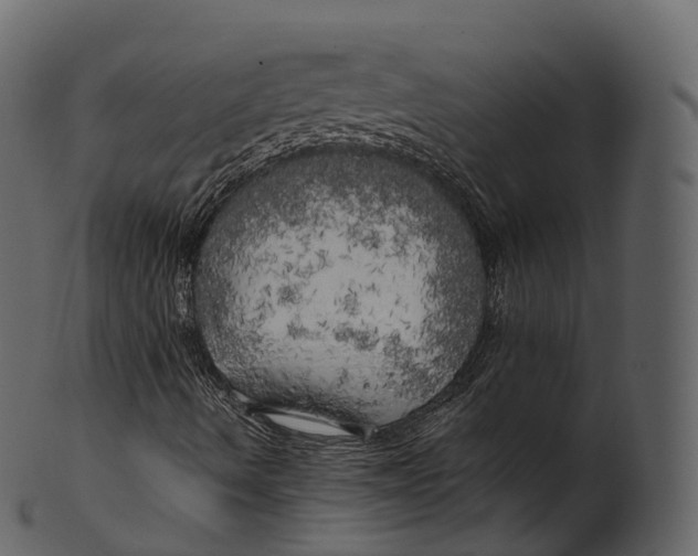 X0000100491490200807031903