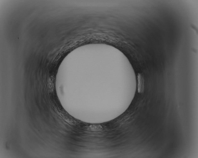 X0000100491491200807031903