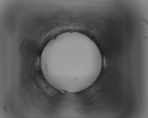 X0000100491492200807031903