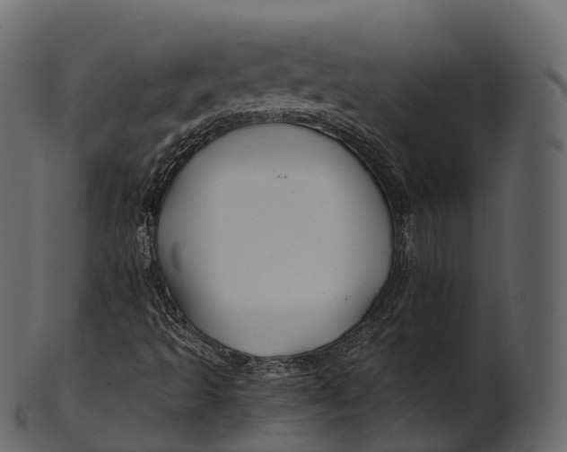 X0000100491493200807031903