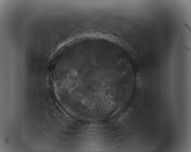 X0000100491494200807031903