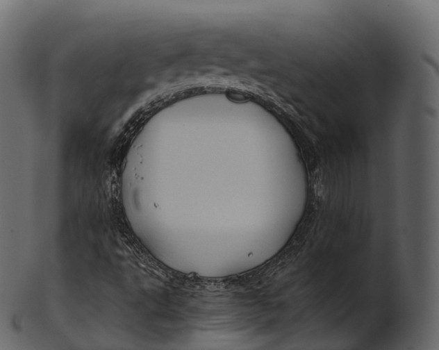 X0000100491495200807031903