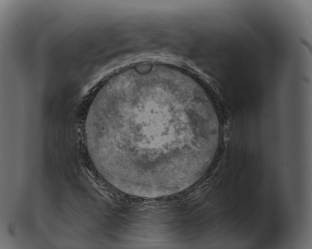 X0000100491496200807031903