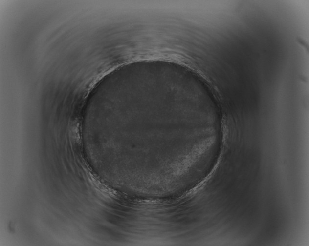 X0000100491497200807031903