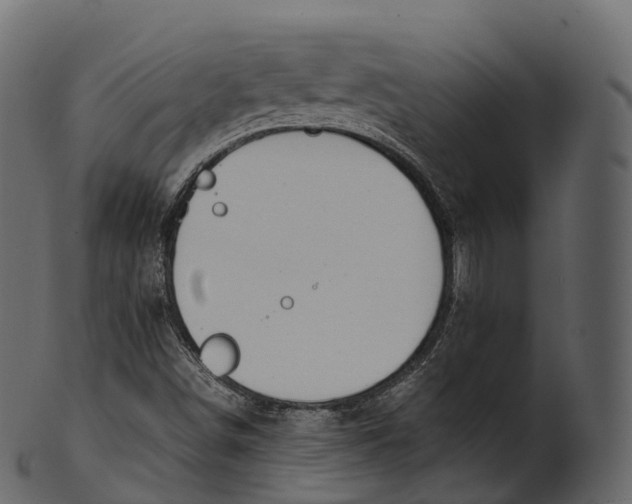 X0000100491498200807031903