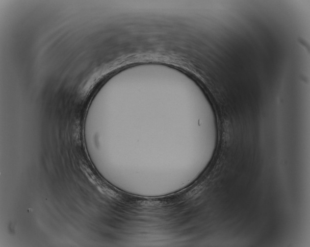 X0000100491499200807031903