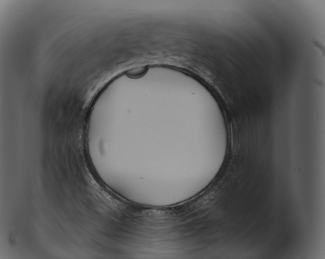 X0000100491500200807031903