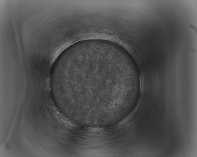 X0000100491501200807031903