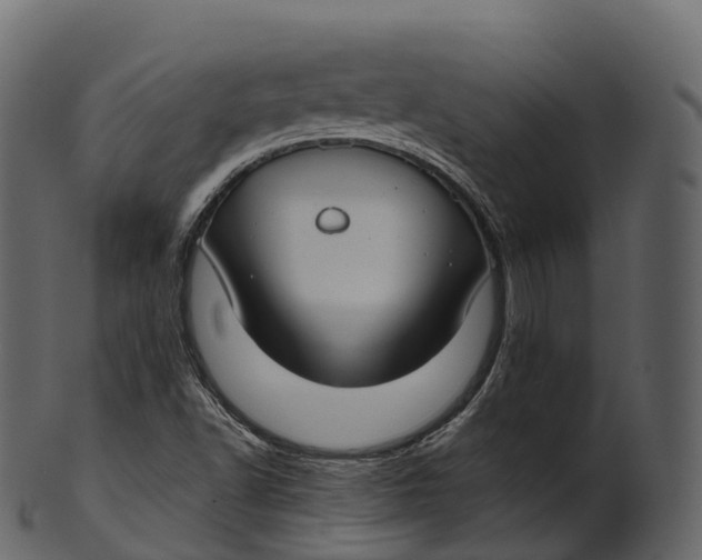 X0000100491502200807031903