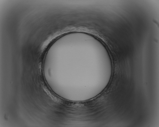 X0000100491503200807031904