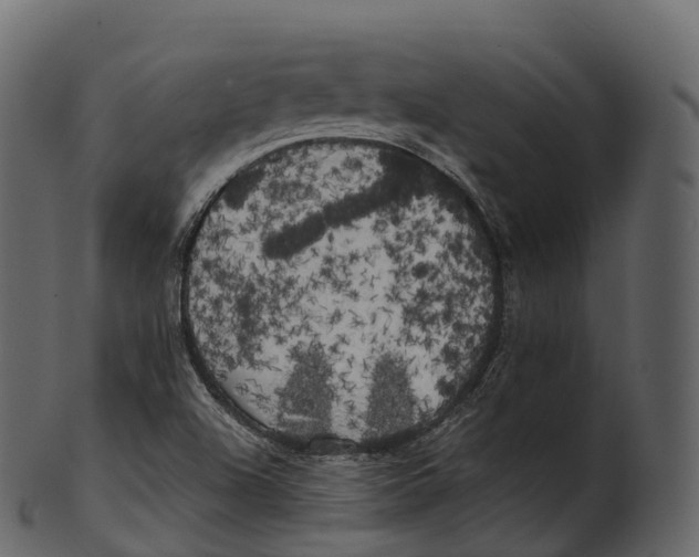 X0000100491504200807031904