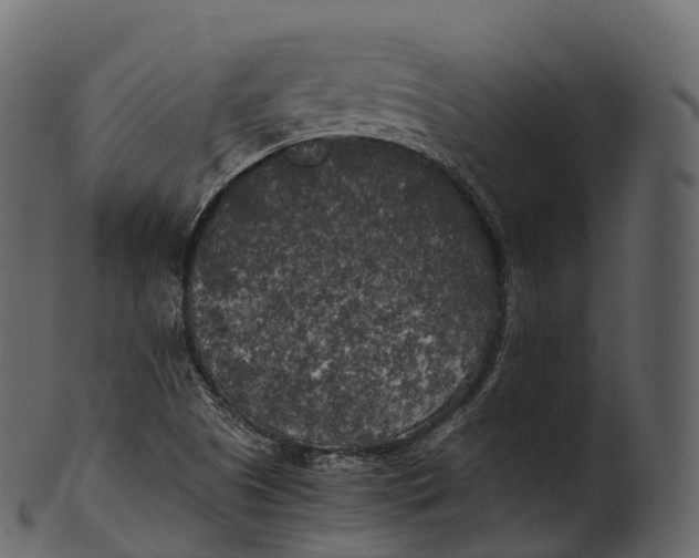 X0000100491505200807031904