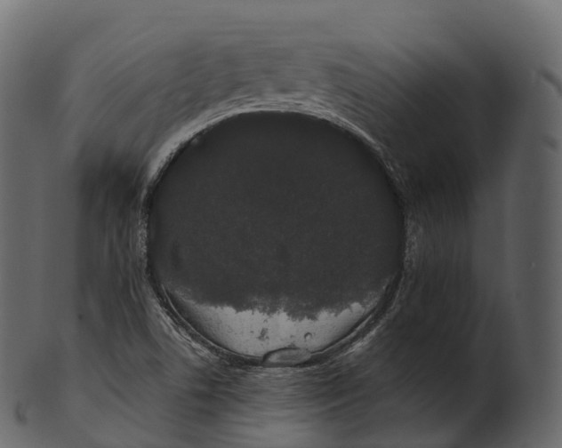 X0000100491506200807031904