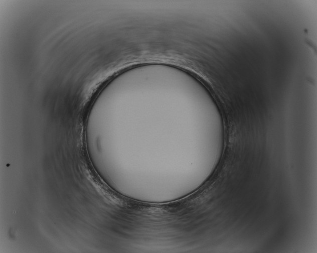 X0000100491507200807031904