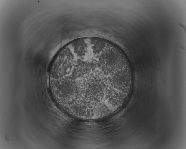 X0000100491509200807031904