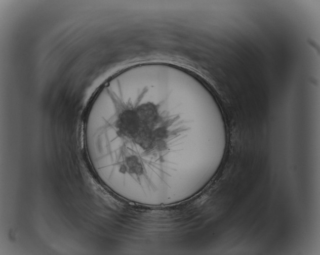 X0000100491510200807031904