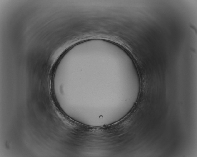 X0000100491511200807031904