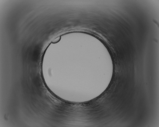 X0000100491512200807031904