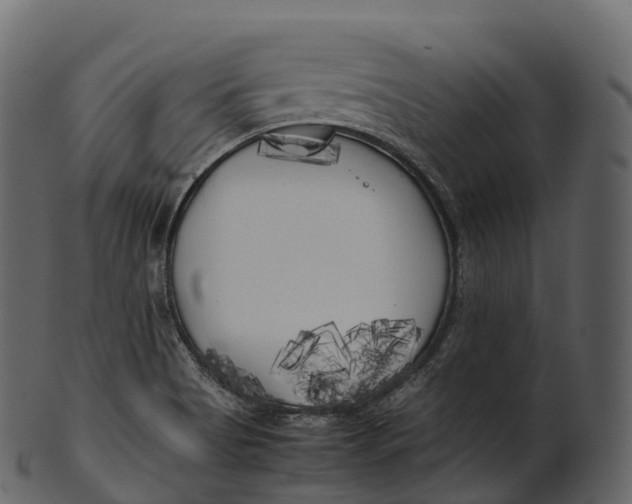 X0000100491513200807031904