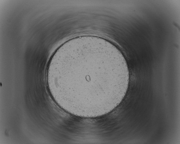 X0000100491514200807031904