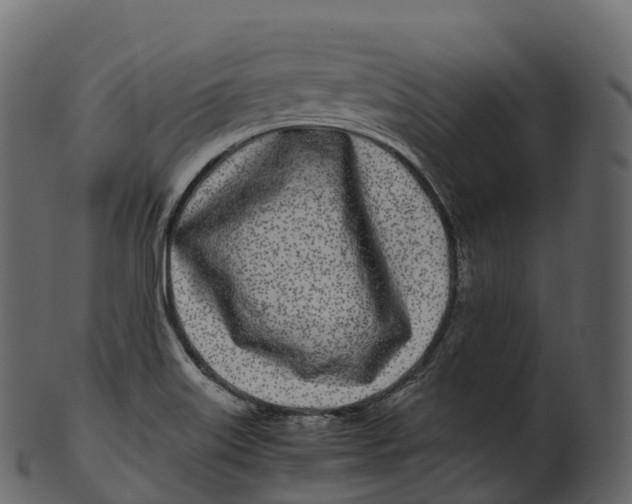 X0000100491515200807031904