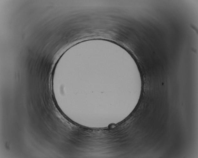 X0000100491516200807031904