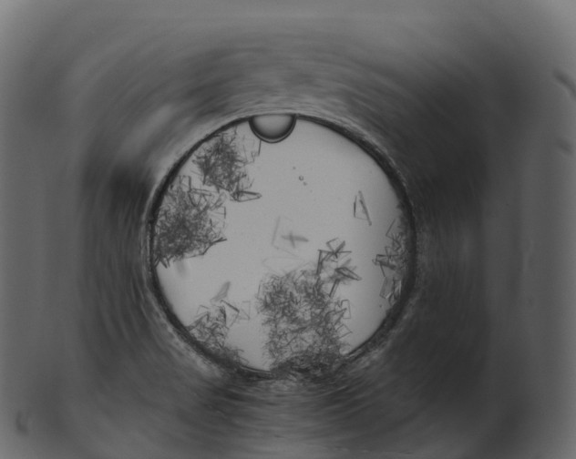 X0000100491517200807031904