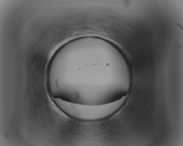 X0000100491518200807031904