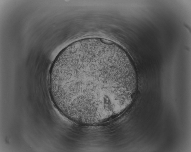 X0000100491519200807031904