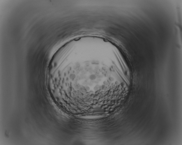 X0000100491520200807031904