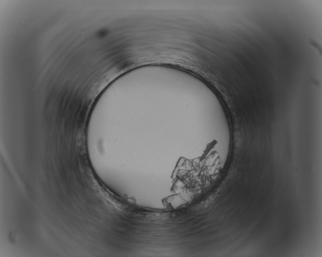 X0000100491521200807031904