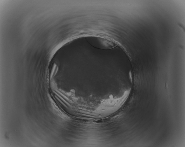 X0000100491522200807031904