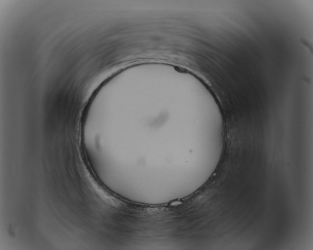 X0000100491523200807031904