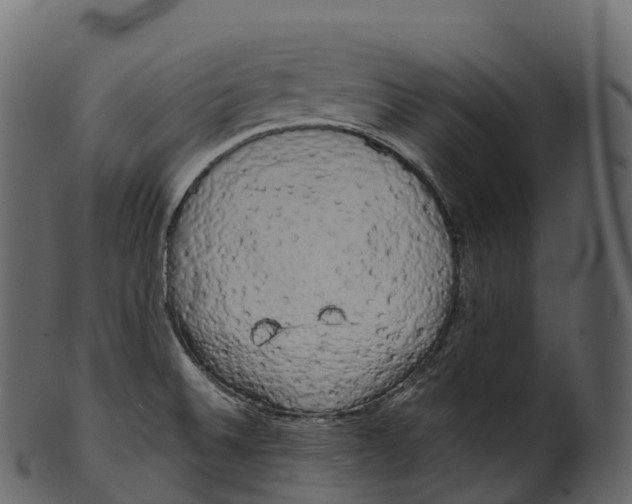 X0000100491524200807031904