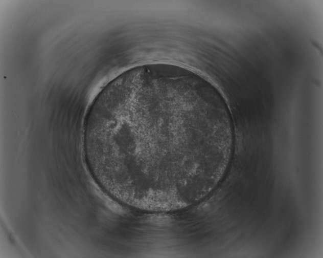 X0000100491525200807031904