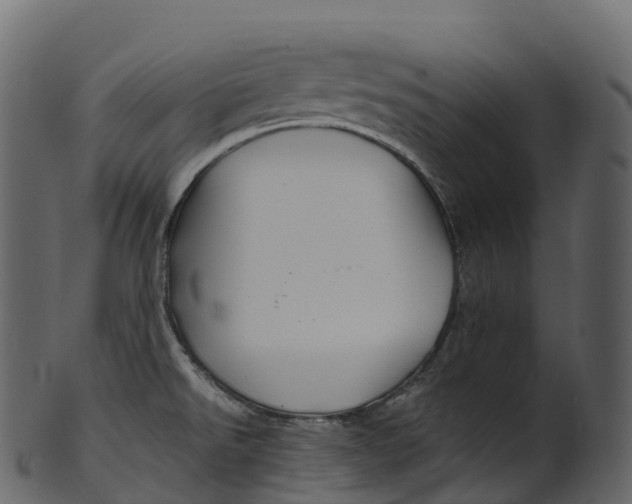 X0000100491526200807031904