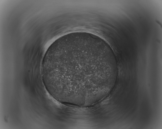 X0000100491527200807031904